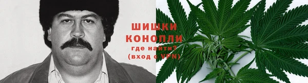 гидропоника Балабаново