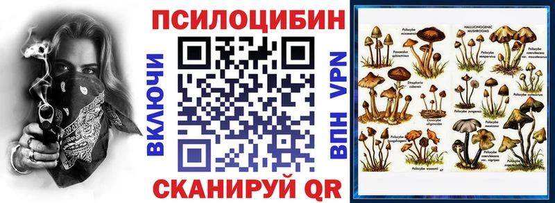 Псилоцибиновые грибы мицелий  Баксан 